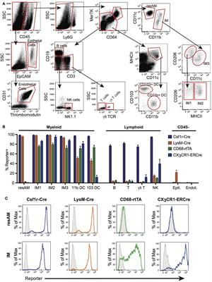 Promoter Specificity and Efficacy in Conditional and Inducible Transgenic Targeting of Lung Macrophages